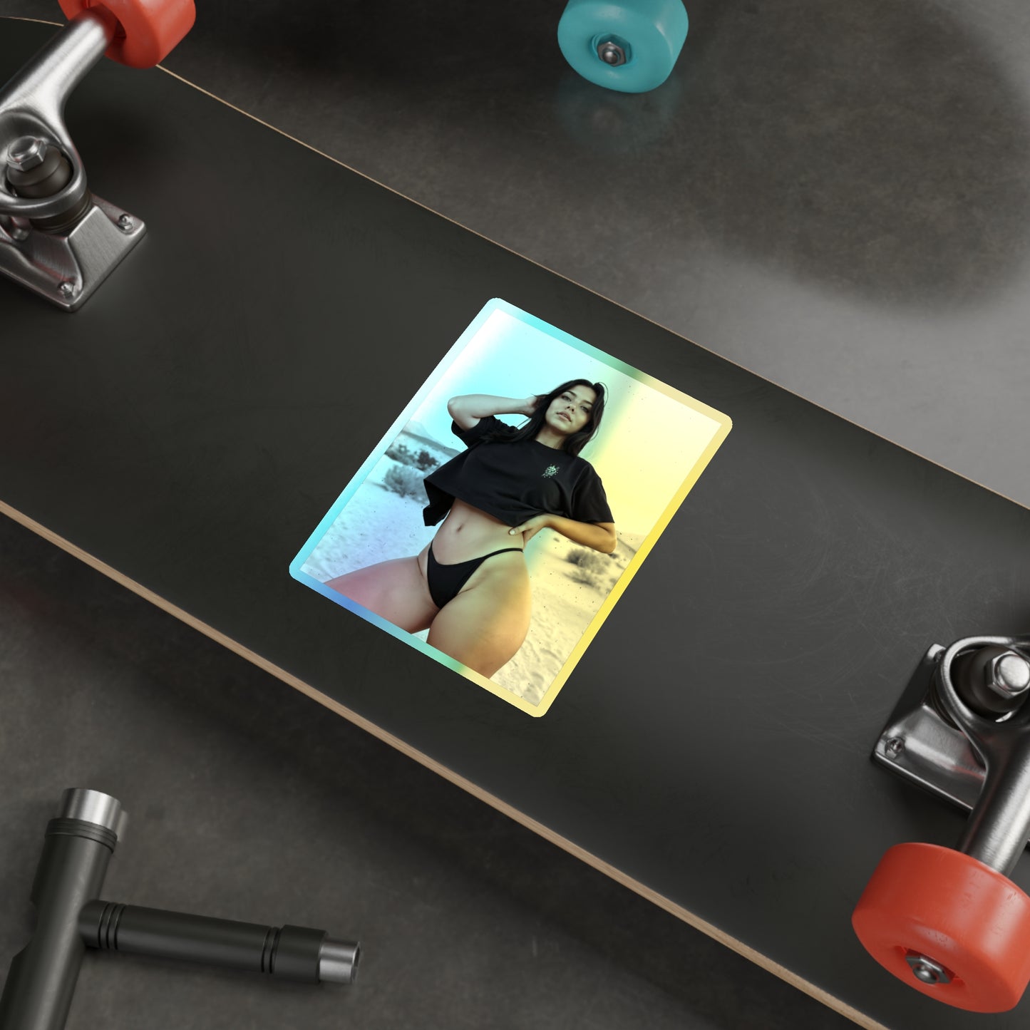 Desert Vol. 8 Holographic Die-Cut Stickers