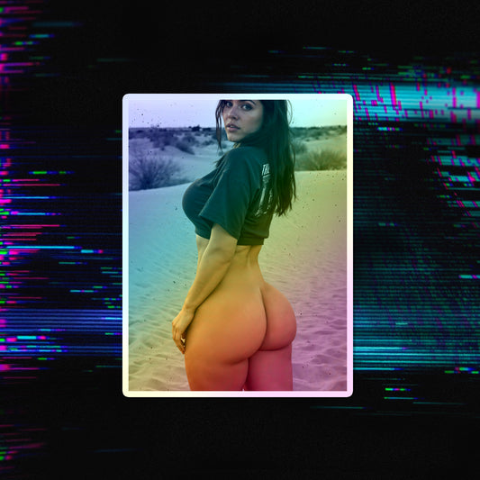 Desert Vol. 11 Holographic Die-Cut Stickers
