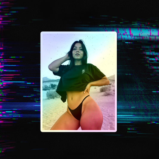 Desert Vol. 8 Holographic Die-Cut Stickers