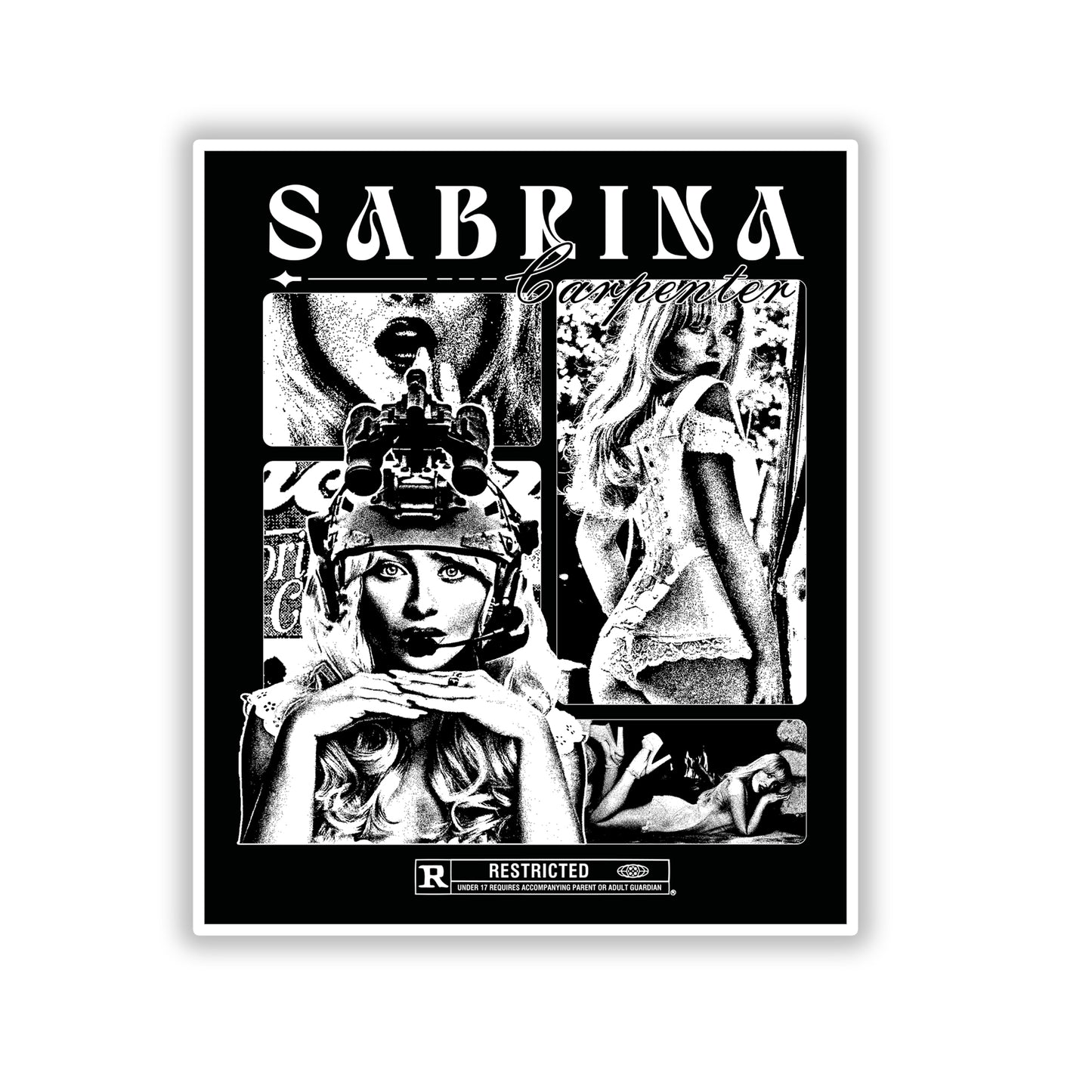 Sabrina Carpenter Die-Cut Stickers