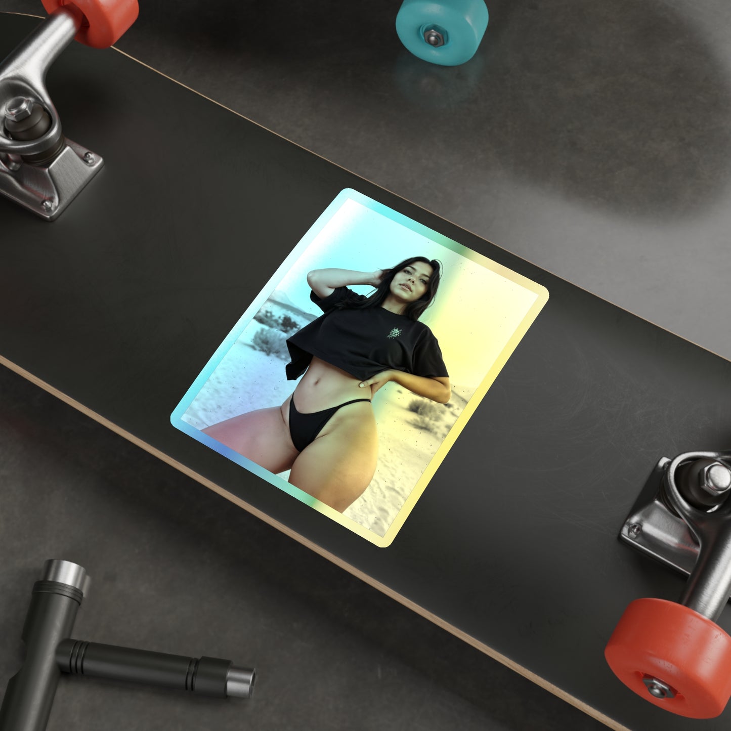 Desert Vol. 8 Holographic Die-Cut Stickers