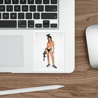 Baja Tiger Vol. 1 Die-Cut Stickers